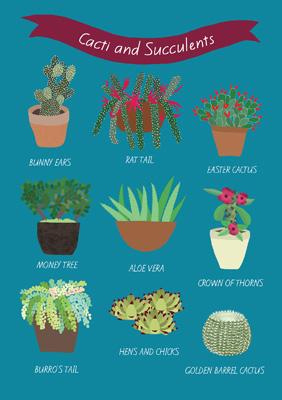 57BB09 - Cacti and Succulents Greeting Card