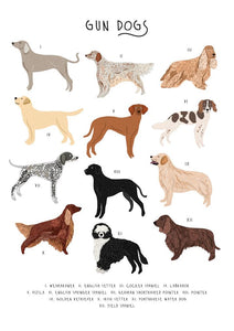 57BB66 - Carte de vœux Types de chiens de chasse (6 cartes)