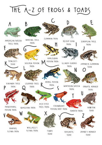 57BB69 - The A-Z of Frogs and Toads Greeting Card (6 Cards)
