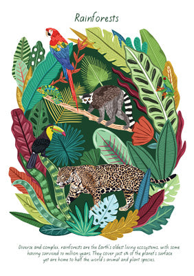 57BB95 - Rainforests Greetings Card (6 Cards)