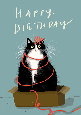 57DC01 - Carte d'anniversaire Chat dans une boîte (6 cartes)