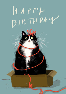 57DC01 - Cat in Box Birthday Card (6 Cards)