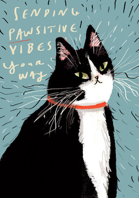 57DC05 - Pawsitive Vibes Greeting Card (6 Cards)