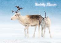 57DG40 - Reindeer in the Snow Christmas Card (Welsh)