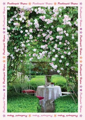 57DG61 - Rose Garden Birthday Card (Welsh)