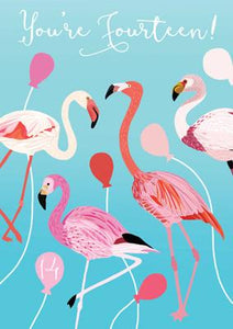 57JN16 - Carte d'anniversaire Vous avez 14 ans (Flamants roses)