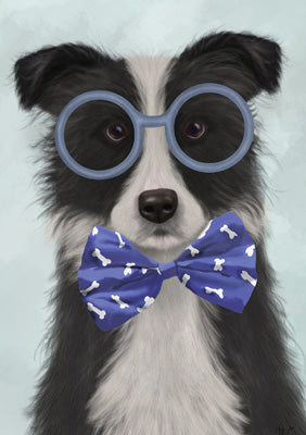 57LL12 - Bespectacled Border Collie Greeting Card (6 Cards)