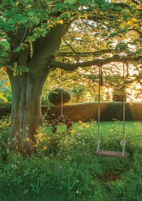 57MI63 - Tree Swing Greeting Card