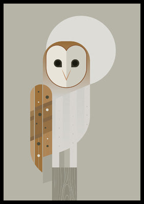 57MW01 - Barn Owl Greeting Card