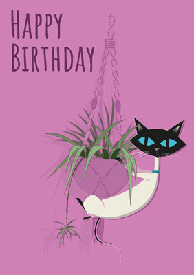 57MW07 - Cat and Spider Plant Birthday Card (6 Cards)