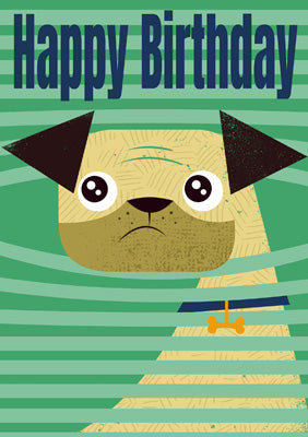 57MW11 - Happy Birthday (Pug) Greeting Card (6 Cards)