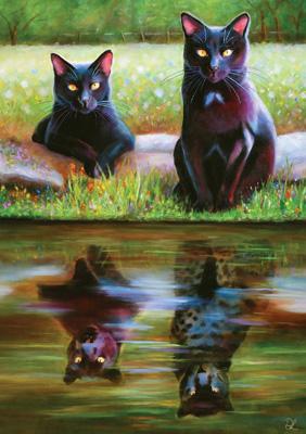 57SM52 - Reflections of Cats Greeting Card