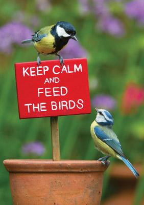 57SM62 - Restez calme et nourrissez les oiseaux Carte de vœux
