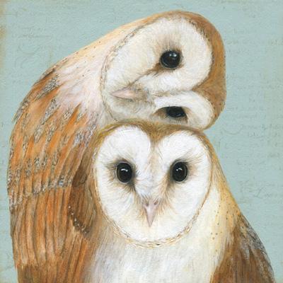 COR107 - Two Barn Owls Greeting Card