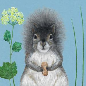 CORII2 - Squirrel with Nut