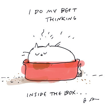 DCT109 - Think Inside the Box Cat Greeting Cards (6 Cards)