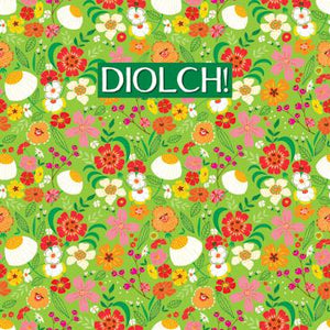 DGS117 - Diolch ! Carte de vœux de remerciement (gallois)