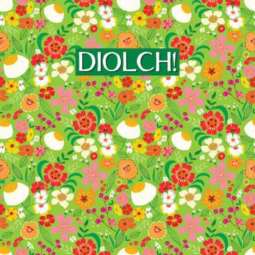 DGS117 - Diolch! Thank You Greeting Card (Welsh)