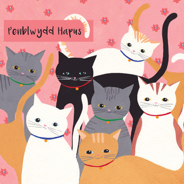DGS126 - Happy Birthday Cats (Welsh Language) (6cards)