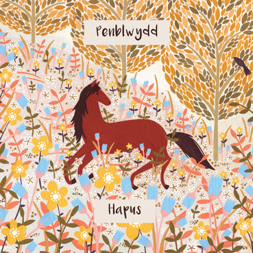 DGS127 - Happy Birthday Horse (Welsh Language) (6 cards)