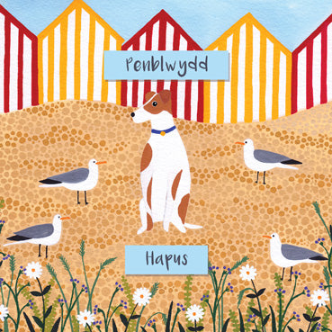 DGS128 - Beach Dog Birthday Card (Welsh) (6 Cards)