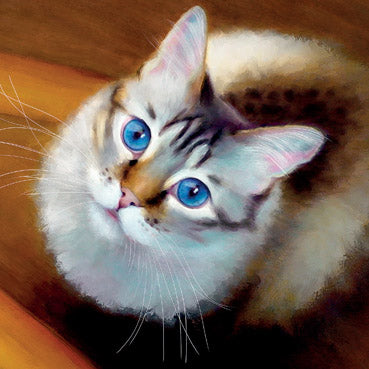 DLT115 - Carte d'art chat du Bengale (6 cartes)