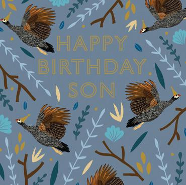 HDS107 - Happy Birthday Son (Pheasants) Greeting Card