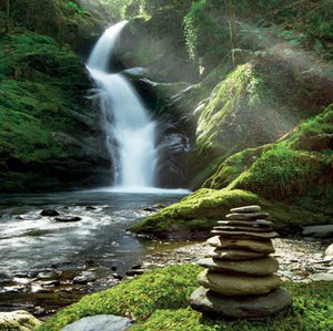 L342 - Dolgoch Falls Wales Greeting Card