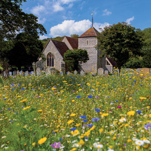 L396 - East Dean Church, Sussex Greeting Card (6 Cards)