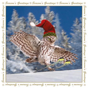 XMS107- The Skiing Owl Christmas Card