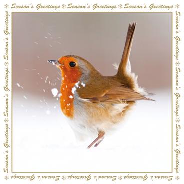 XMS112 - Robin in the Snow Christmas Card