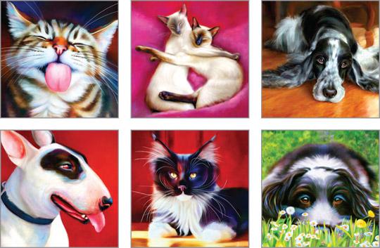 NC-DLT501 - Denise Laurent (Chats et Chiens) Pack de cartes (3 paquets de 6 cartes)