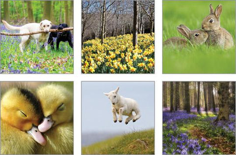 NC-GL512 - The Good Life Spring Notecard Pack  (3 Packs of 6 cards)
