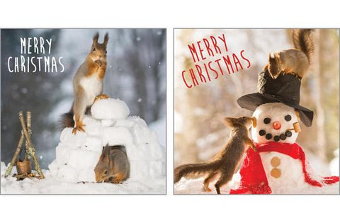 NC-XM531 - Pack de cartes de Noël Igloo et bonhomme de neige (3 paquets de 6 cartes)