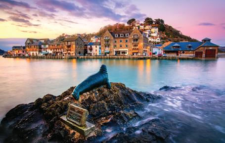 PCC636 - Nelson the Seal, Looe Cornwall Postcard