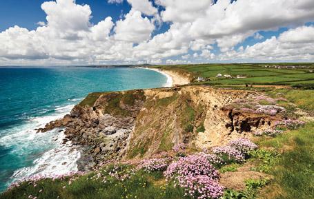 PCC655 - Gunwalloe, le lézard Carte postale