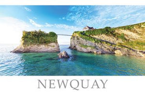 PCC742 - Newquay Cornwall Postcard