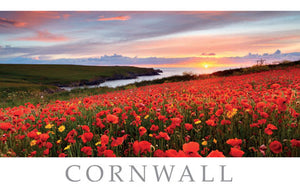 PCC783 - West Pentire near Crantock Cornwall Postcard (25 Cards)