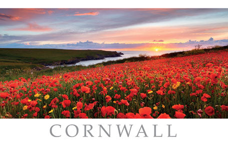 PCC783 – Carte postale West Pentire près de Crantock Cornwall (25 cartes)
