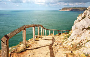 PCW512 - The Path to Caswell Bay Gower Postcard