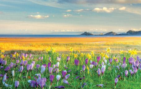 PCW522 - Mumbles Lighthouse Swansea Postcard