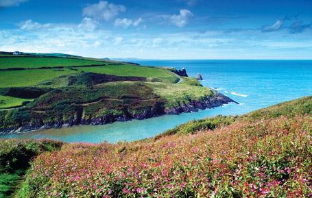 PCW529 - Ceibwr Bay Pembrokeshire Postcard