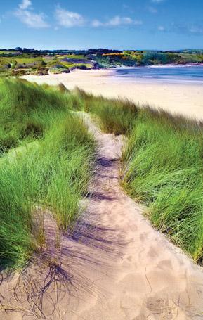 PCW547 - Carte postale de la baie de Lligwy Anglesey