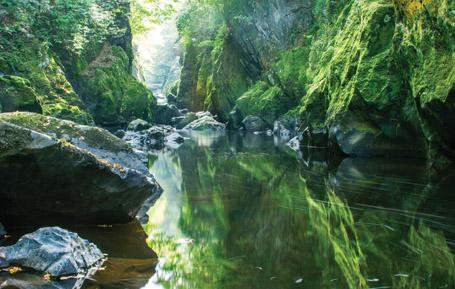 PCW556 - Carte postale Fairy Glen Betws-y-Coed Conwy