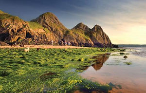 PCW581 - Three Cliffs Bay Gower Wales Postcard