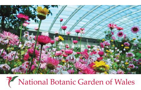 PCW589 - National Botanic Garden of Wales Llanarthney Postcard