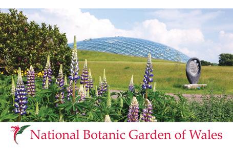 PCW590 - Dome at National Botanic Garden of Wales Postcard