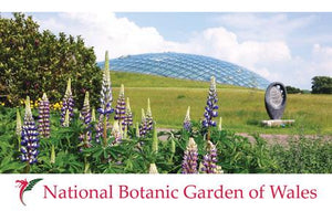 PCW590 - Dome at National Botanic Garden of Wales Postcard