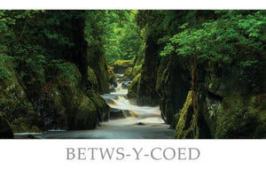 PCW594 - Fairy Glen Betws-y-Coed Conwy Postcard