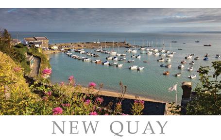 PCW607 - New Quay Ceredigion Postcard